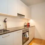 Central Studio Apartment With Free Baselcard - Magritte
